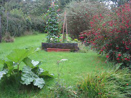 Amenities. camping garden